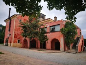 Scopri di più sull'articolo Degustazione della mozzarella di bufala a Capaccio